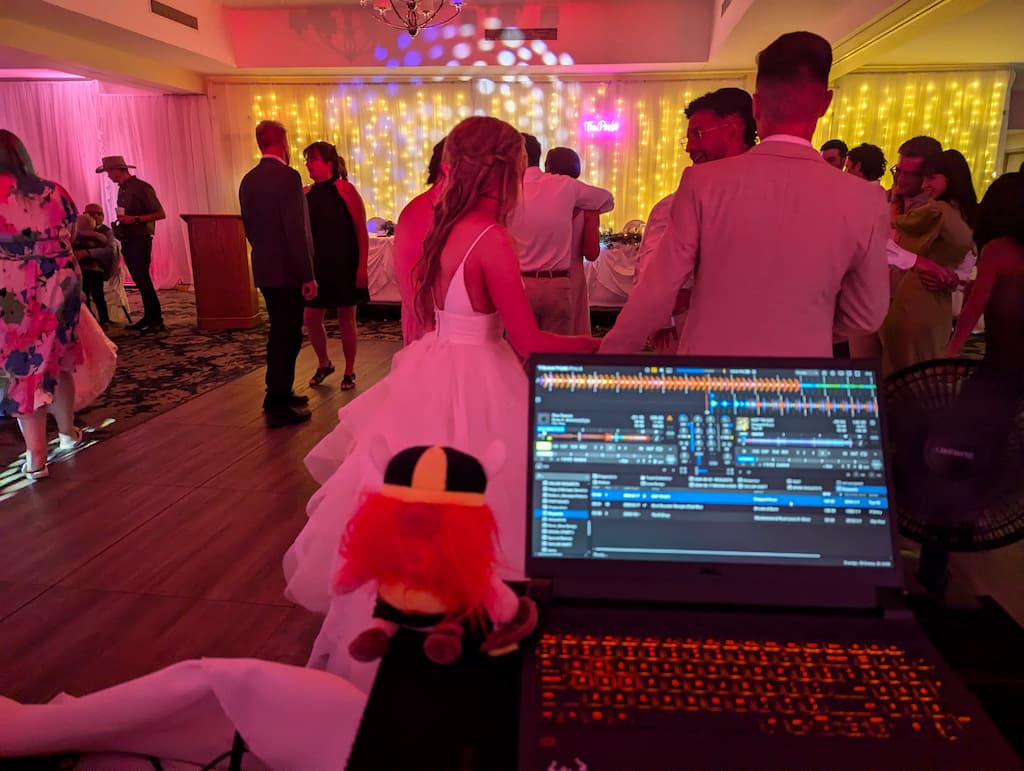 Bride dancing away to Gudlite Tunes at Lakeview